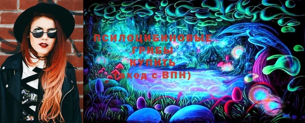 соль ск Костерёво