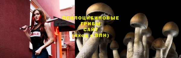соль ск Костерёво