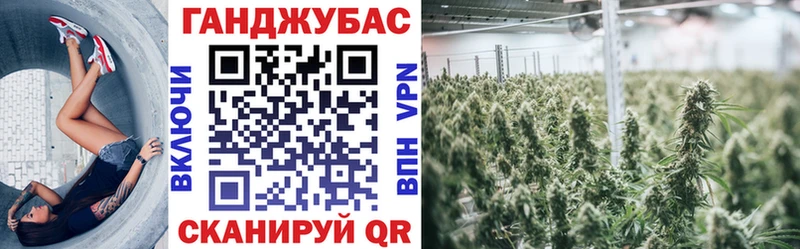 Каннабис конопля Липки